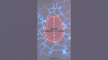 How Advanced is the BRAIN? - Did You Know?