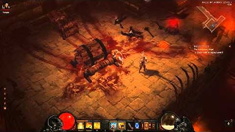 Diablo 3 Imaginitive torture(slight Physics oversight)