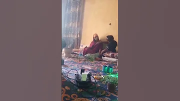 Horiirraa Teeysii Tee Jaalaltii 