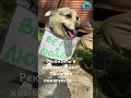 РЕКВИЗИТЫ В ШАПКЕ ПРОФИЛЯ. Не будьте равнодушными… #рек #рекомендации #помощьбездомным #приют