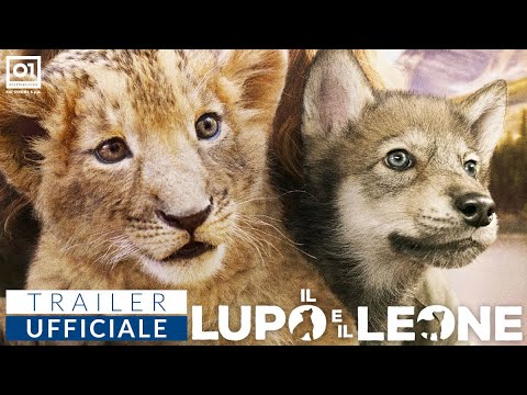 IL LUPO E IL LEONE di Gilles de Maistre (2022) - TRAILER UFFICIALE HD