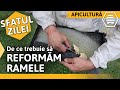 De ce trebuie să REFORMĂM RAMELE [Sfatul zilei]