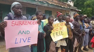 Why are Boko Haram militants surrendering their arms in Nigeria | AFP