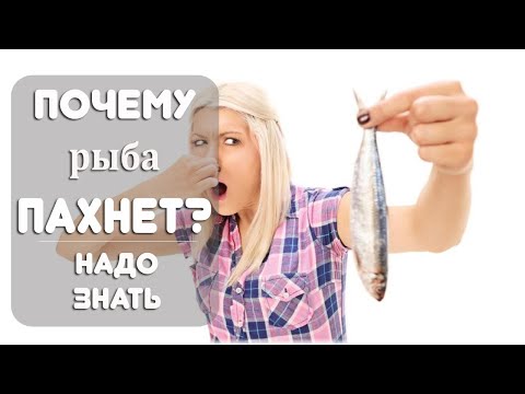 Почему рыба пахнет?