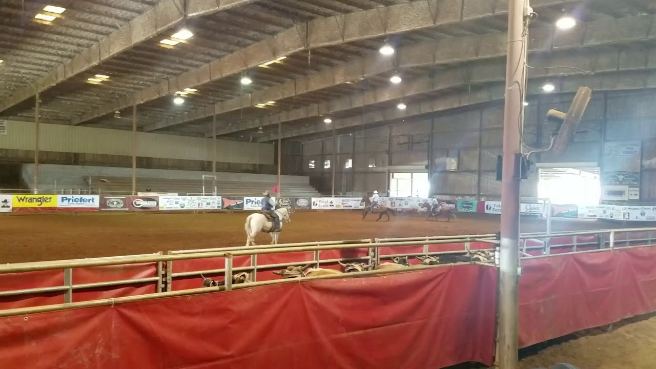 Calf roping at the Southeastern Arena in Unadilla GA YouTube