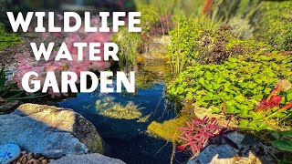 Amazing Biodiversity Garden