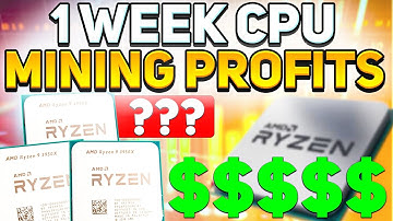 RAPTOREUM CPU MINING Profits