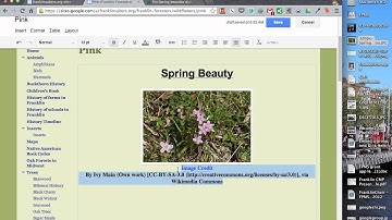 Google & Flickr - Images Free To Use or Reuse