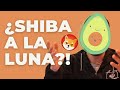 SHIBA INU a la Luna? - Opiniones sin palta -  Avocado Labs