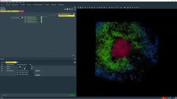 High-Content Screening of 3D Organoids with Amira Software