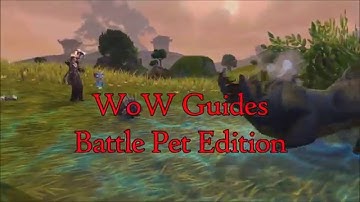 WoWarcraft: How to level a pet to 25 in 10 Minutes!