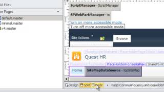 6 How do we customize SharePoint pages using SharePoint designer Profile