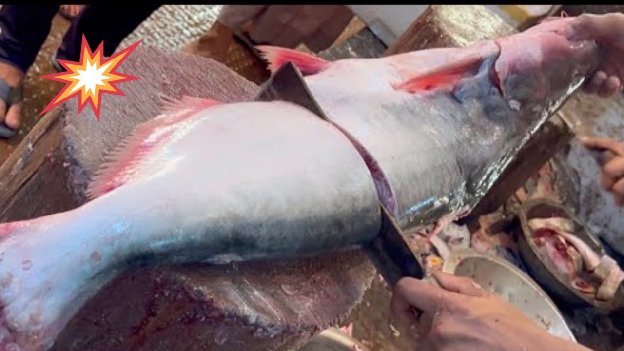 Pankash Fish Gaint Pangas fish cutting skills video in Dhaka | How to Pangas fish ...