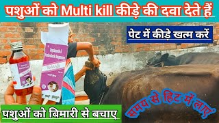 Use Veterinary Multi Kill When Do You Give Deworming Medicine To Animals? Eliminate Worms In Th...