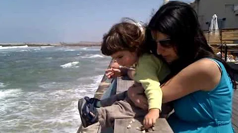 video-2010-04-09-12-12-42