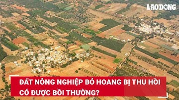 Đất nông nghiệp bỏ hoang bị thu hồi có được bồi thường? | Báo Lao Động