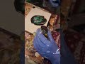 Mesmerizing Puddle Pour Technique in Acrylic Art #AcrylicPouring #AbstractArt