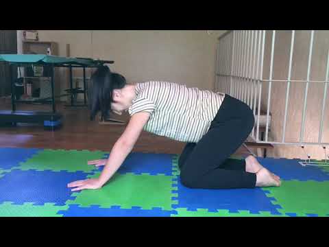 camera iphone 8 plus apk Estiramiento de columna