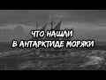 Антарктида интересные факты! Что нашли в Антарктиде моряки? Ученые не знают что сказать!