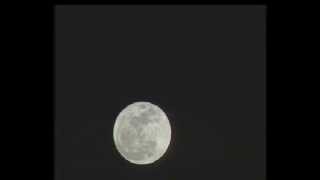 Super Moon 3-19-11