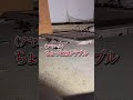 【降霊術】曰く付き廃墟でかごめ降霊術中に心霊現象が多発した#心霊 #心霊スポット #降霊術