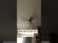 Batao or kya deta ?||| 😂😂😂#youtubeshorts #fan #viral #iloveindia