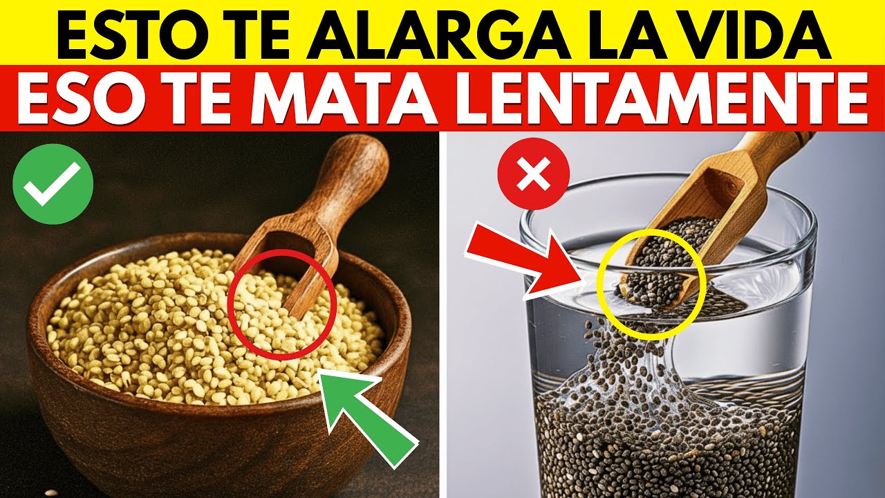 ¿Más de 60? 4 Semillas PELIGROSAS Que Nunca Debes Tocar y 4 Que DEBES Comer a Diario