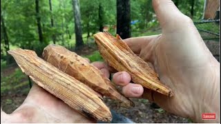 Do We Really Need ANOTHER Fatwood Burn Video On YouTube??? I Think So!