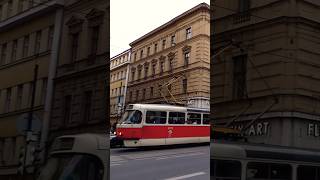 Prague Tram 🇨🇿 • T3R.PV 8175 • Dlouhá třída • 19.11.2023