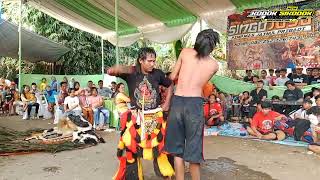 Download Lagu LAWAKAN TEPUNG TERKOCAK SENI REOG JARANAN CAMPURSARI SINGO JOYO terbaru 2025 live tempuran cakru MP3