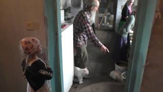 видео: Возвращение с работы и ужин.   07. 07. 2021 картинка: Возвращение с работы и ужин.   07. 07. 2021