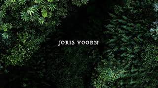 Joris Voorn - Café d'Anvers/Warung  Brazil 2018 ID (Ripped from Spectrum Radio 046)