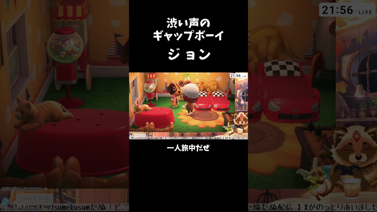 【あつもり】ギャップのジョン【詰草マカロル/狸Vtuber】 #shorts