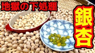 銀杏の下処理は地獄！！！