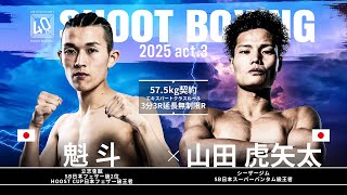 Ｌａｓｔ　ｓｈｏｔ/武田ランダムハウスジャパン/金子達仁（大型本） Last shot/武田ランダムハウスジャパン/金子達仁（大型本）
