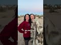 Ultimate Star Wars Vacation #vlog