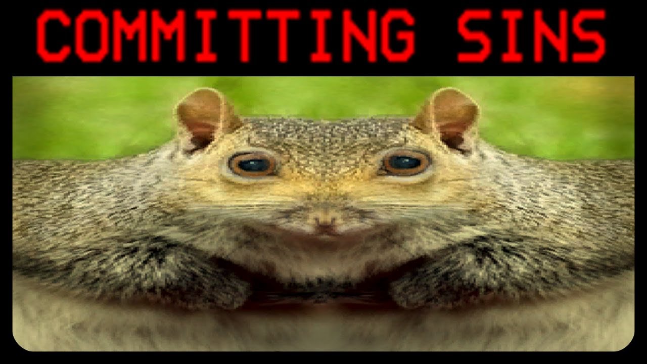 Squirrel Stapler is Absolutely Nuts YouTube