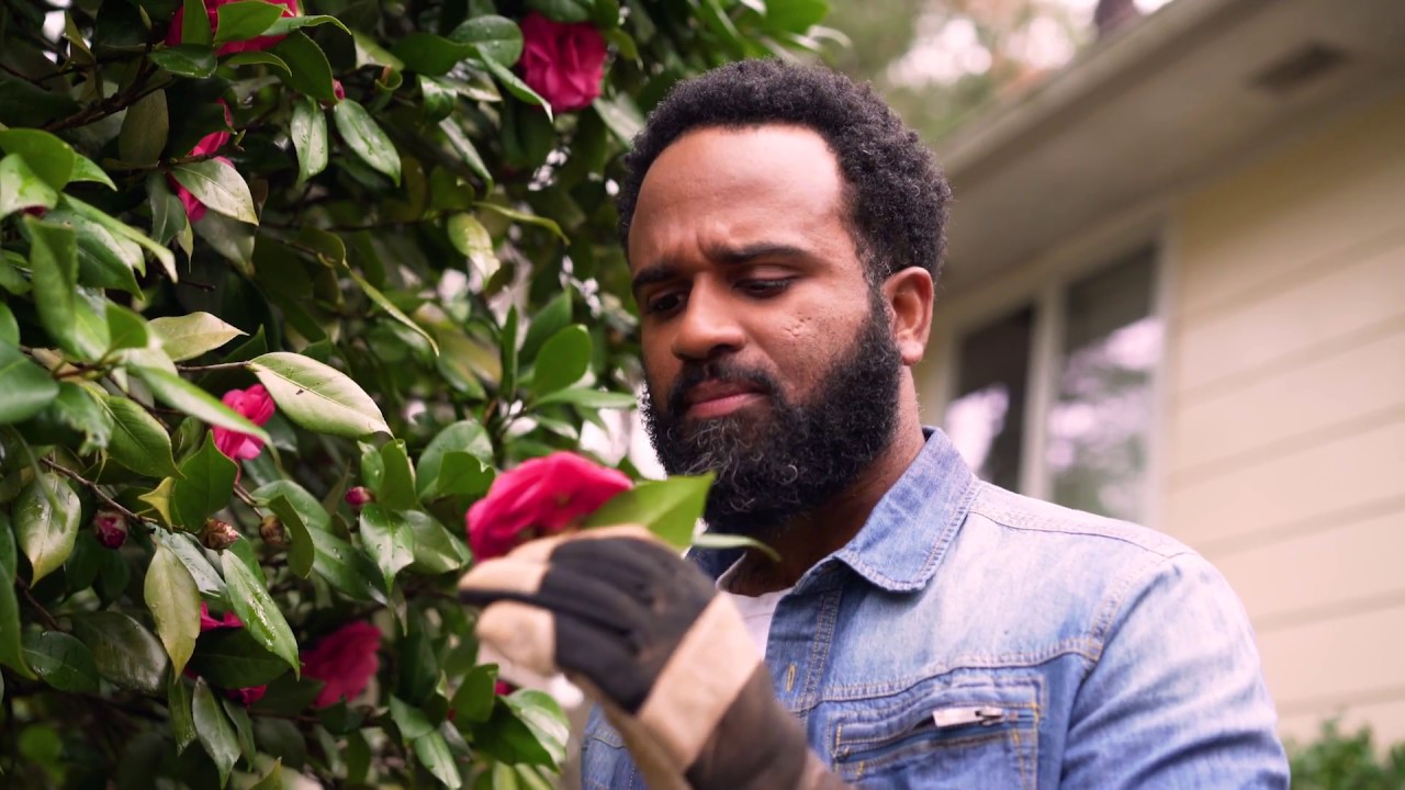 Real People... Not Actors