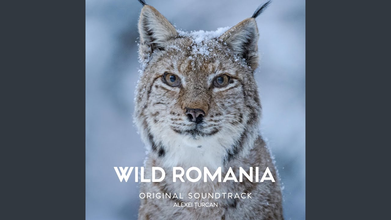 From sea to the mountains