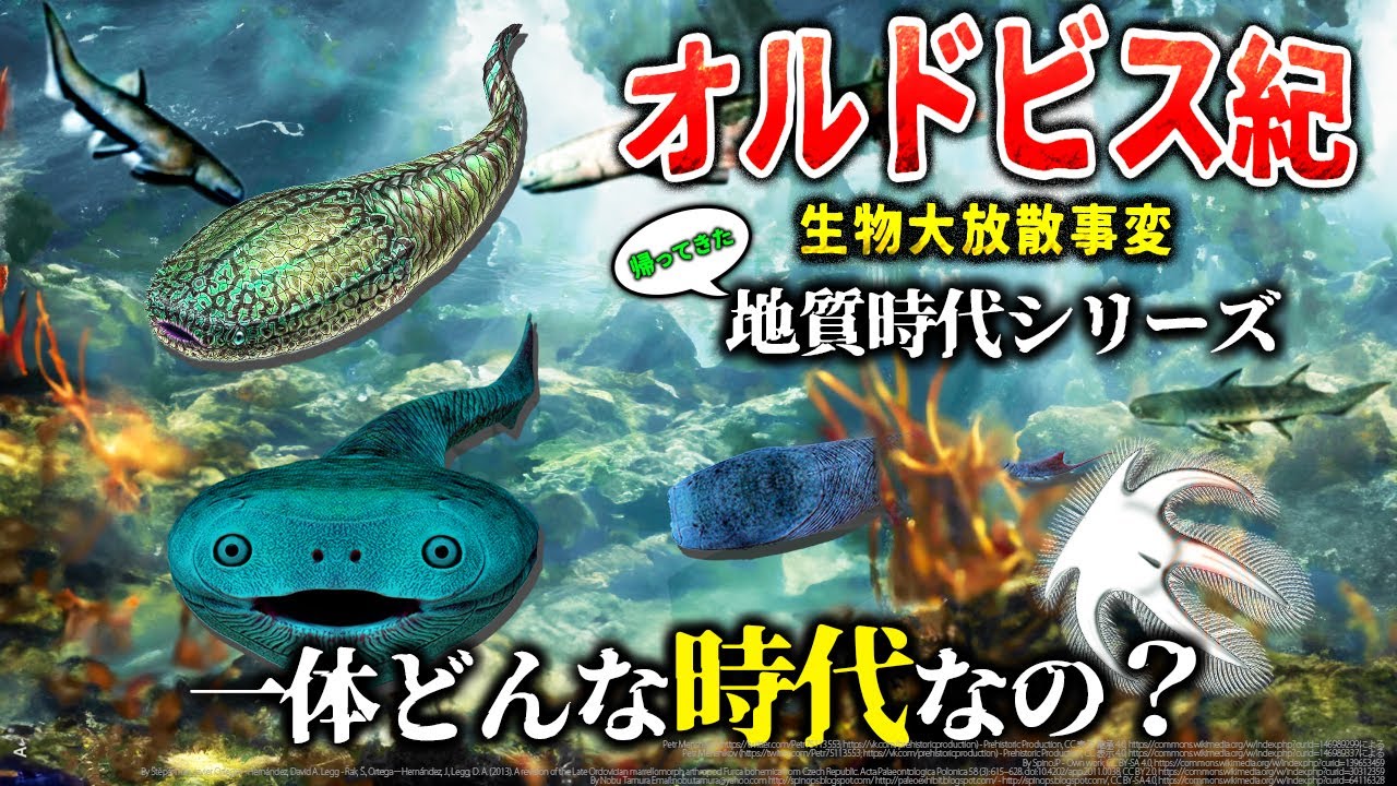 【ゆっくり解説】帰ってきた地質時代シリーズ  オルドビス紀生物大放散事変とは一体何なのか？