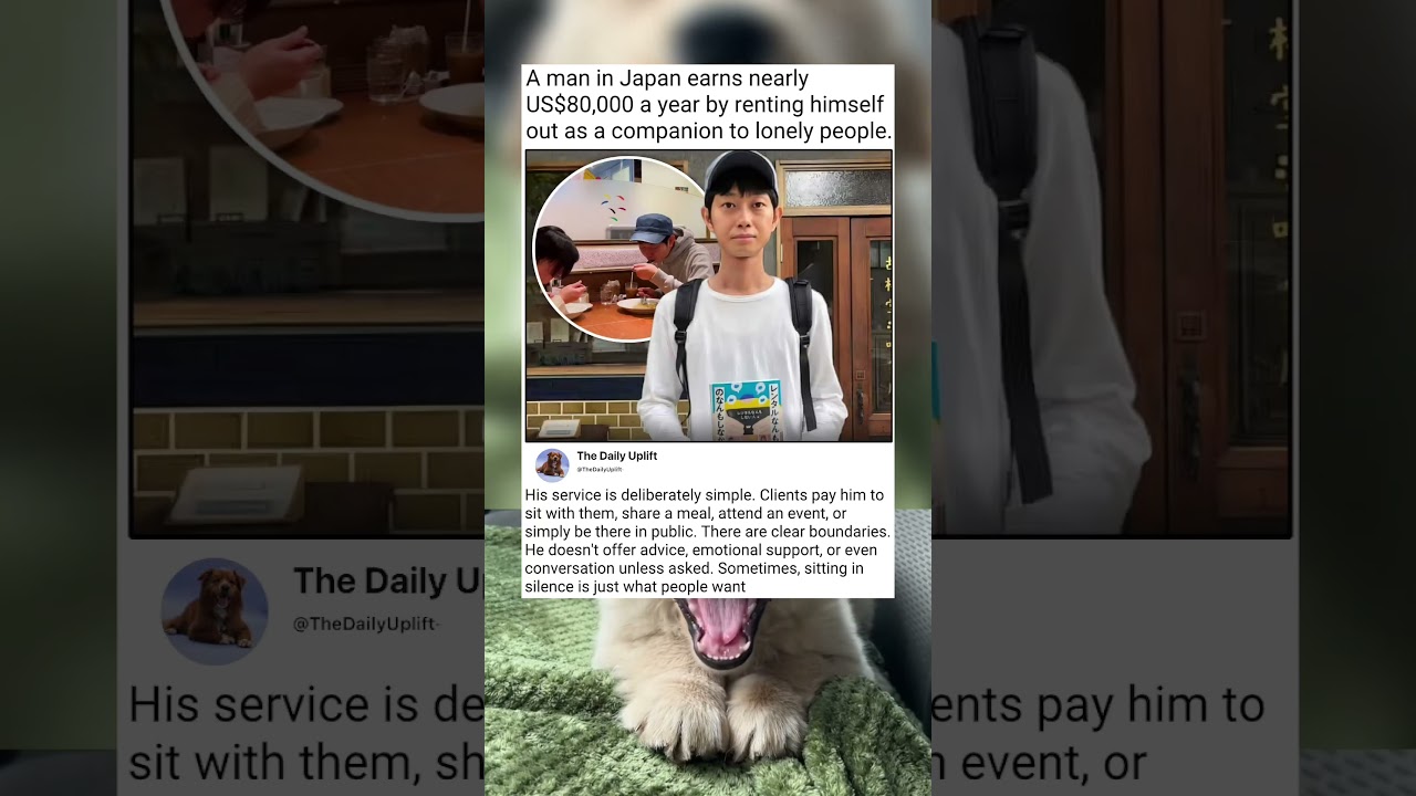 They're looking for a calm, non-judgmental atmosphere