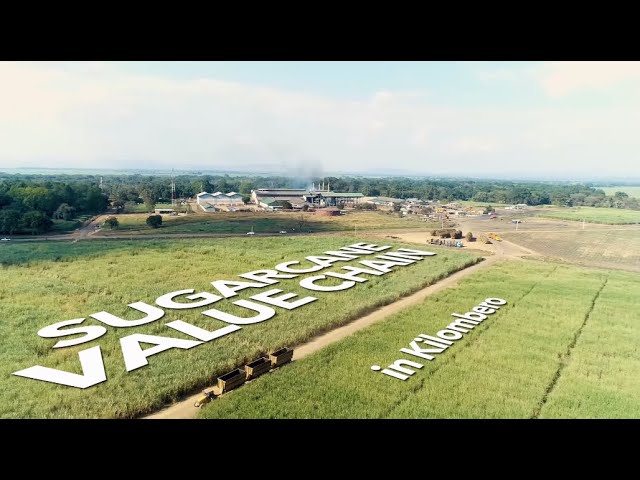 Sugarcane Value Chain in Kilombero