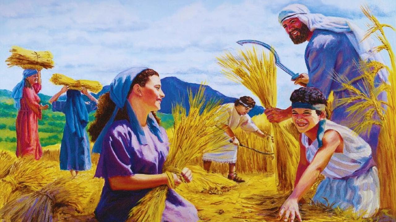 Собирают люди хлеб