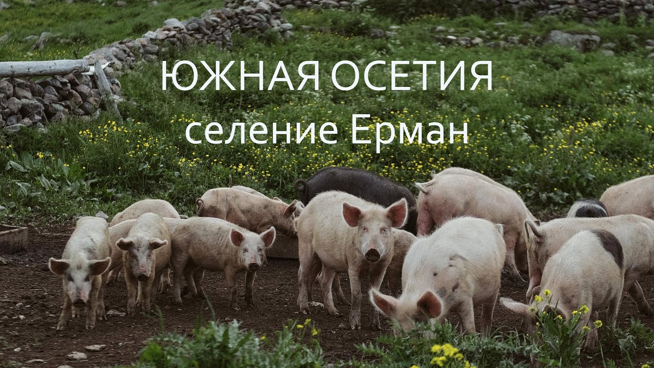 Южная Осетия. Селение Ерман.