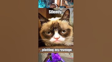 REVENGE ON LOADOUT CAMPERS | Call of Duty Warzone