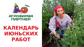 КАЛЕНДАРЬ ИЮНЬСКИХ РАБОТ