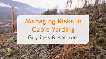Managing Risks in Cable Yarding: Guylines and Anchors (7 of 13) | WorkSafeBC