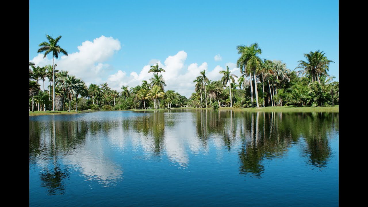 Top 12. Best Tourist Attractions in Coral Gables, Florida