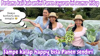Download Lagu PERTAMA KALI KAK ANDINI PANEN SAYURAN SEUMUR HIDUPNYA || SAMPE KALAP HAPPY BISA PANEN SENDIRI MP3 Download Lagu PERTAMA KALI KAK ANDINI PANEN SAYURAN SEUMUR HIDUPNYA || SAMPE KALAP HAPPY BISA PANEN SENDIRI MP3