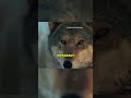 Prawda o MUTANTACH 🐮☢️ Czy one istnieją?